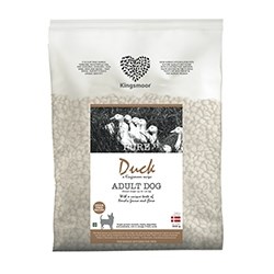 duck-adult-dog