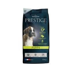prestige-puppy