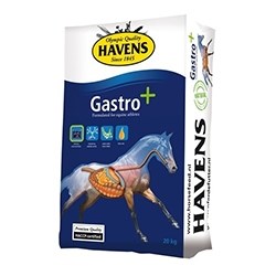 gastro+,__havens,_frisbjerggaard,_hest,_foder,_fyn_1618